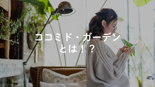 ココミドガーデンとは？｜東海の観葉植物を“暮らしの主役”として全国へ届ける植物ショップ