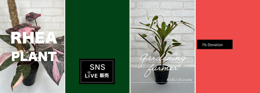 ブログサンプル3サンプルテキストサンプルテキストサンプルテキストサンプルテキストサンプルテキスト