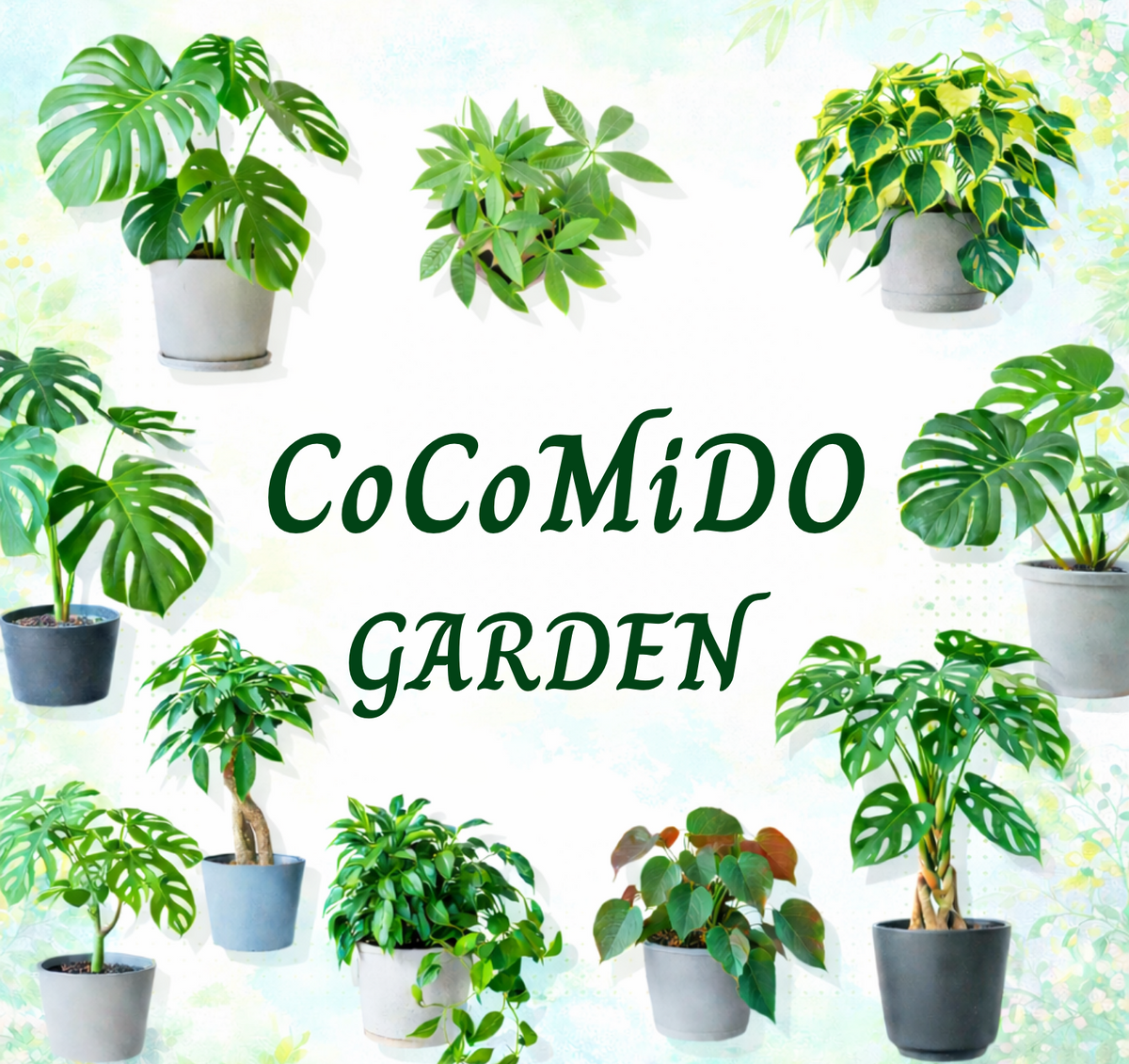 KVスライド画像