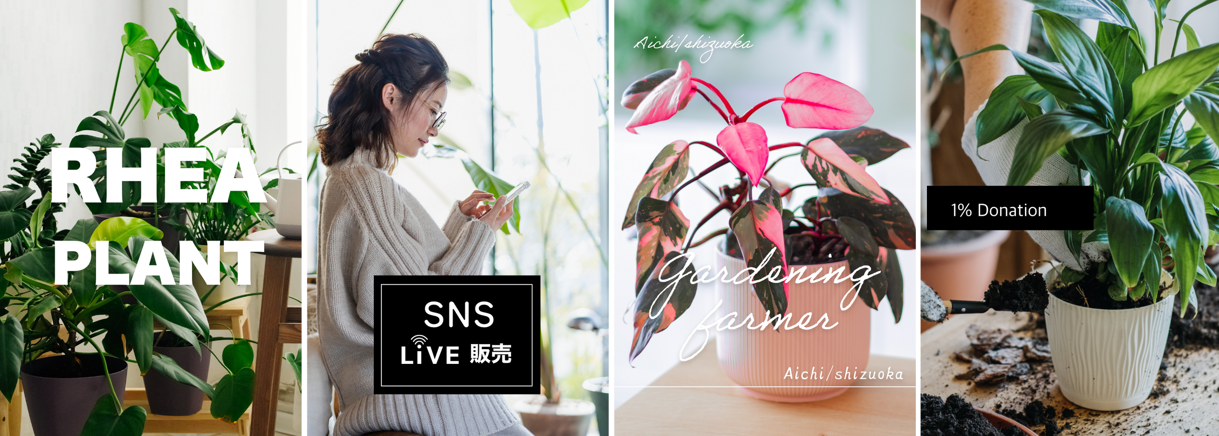 KVスライド画像