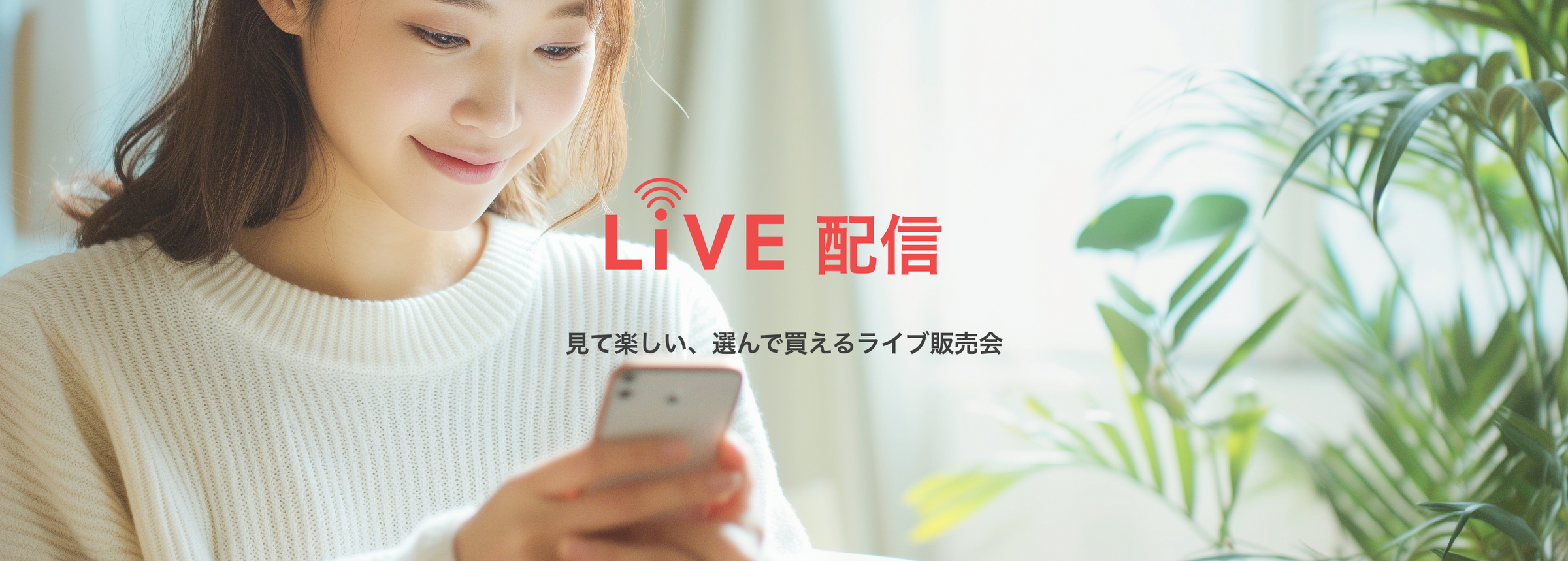 KVスライド画像