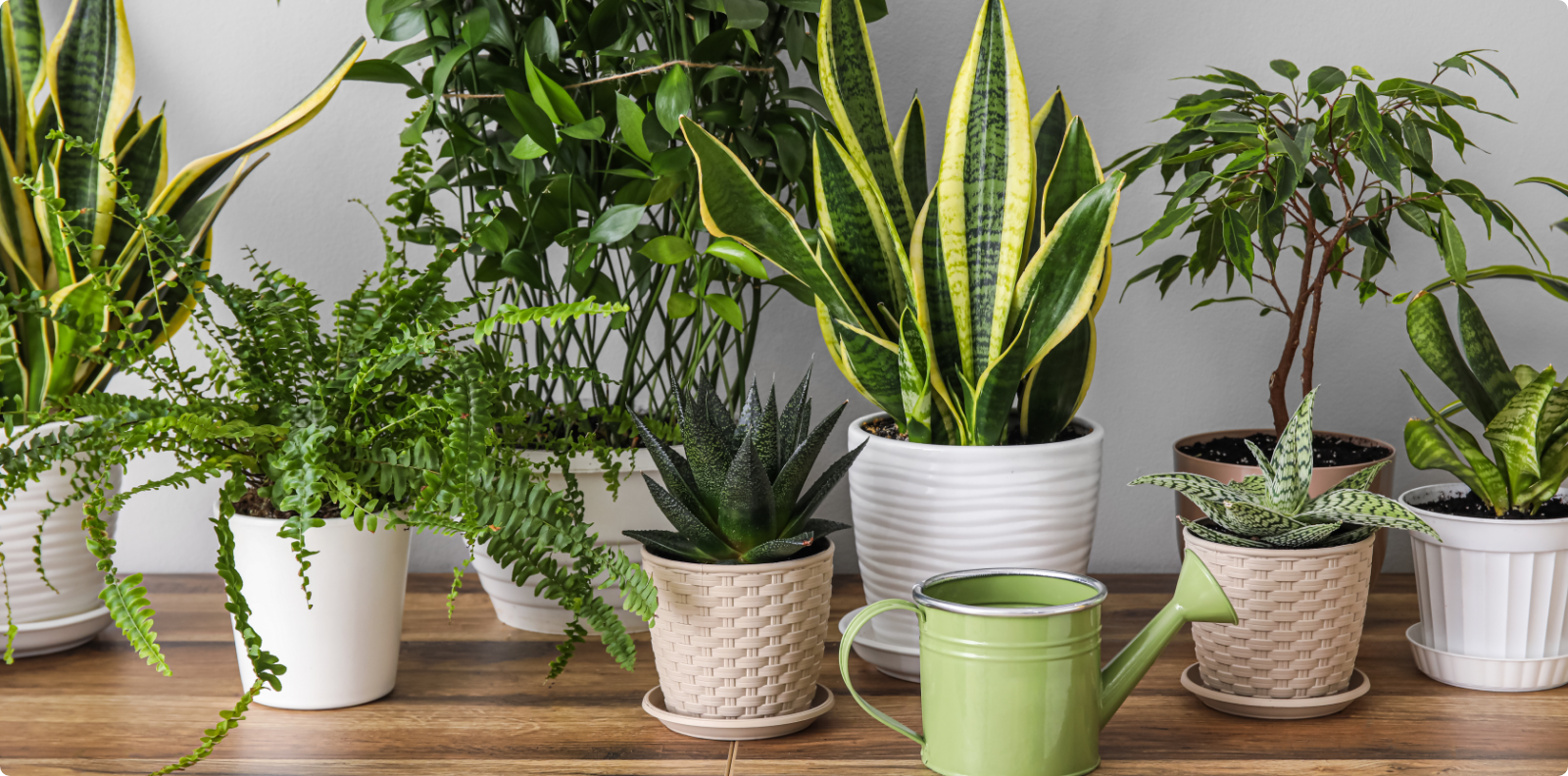 join our teamイメージ